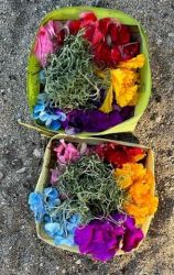 Image of offering of flowers