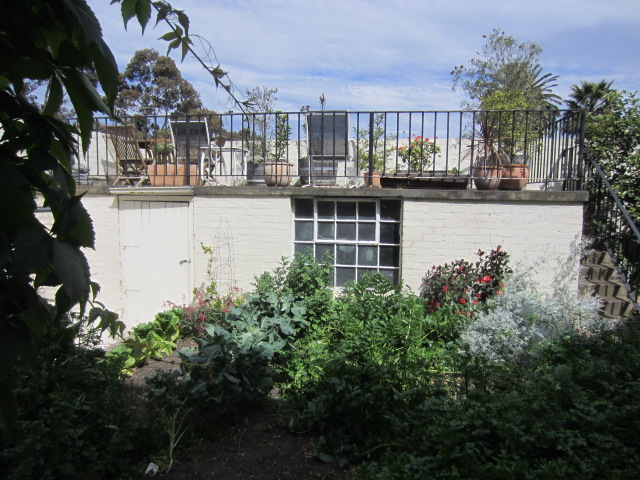 Image of Back garden
